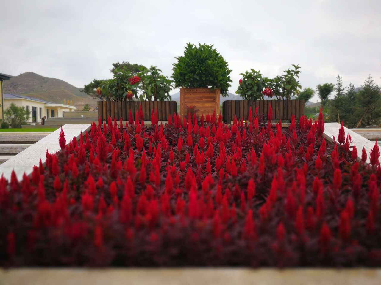 包頭殯儀服務 包頭殯儀服務