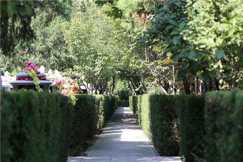 生命的歸宿，墓園植物景觀設(shè)計(jì)的方法